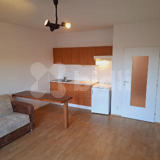 Pronájem bytu 1+kk a garsoniéry 32 m² Beroun, Pod Homolkou