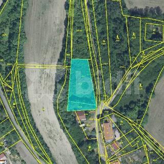 Prodej zemědělské půdy 1 282 m² Chržín, 