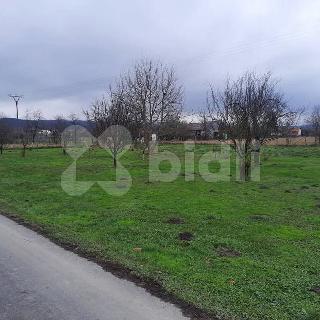 Prodej stavební parcely 1 143 m² Štarnov, 