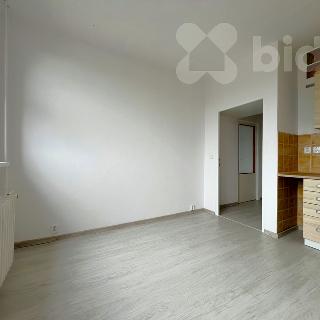 Pronájem bytu 1+1 47 m² Frýdek-Místek