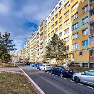 Pronájem bytu 3+kk 56 m² Most, Růžová