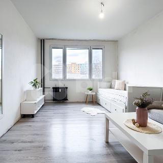 Prodej bytu 1+kk a garsoniéry 24 m² Praha, Nad lesním divadlem