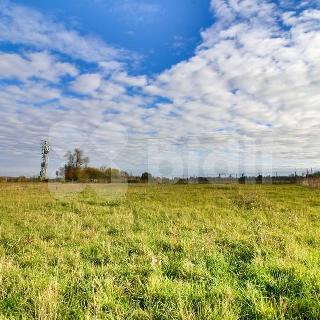 Prodej stavební parcely 3 237 m² Svojetice, Louňovická