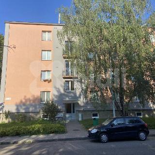 Prodej bytu 2+1 50 m² Prostějov, Rumunská