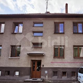 Prodej bytu 3+1 64 m² Vladislav, 