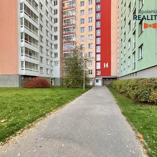 Pronájem bytu 1+kk a garsoniéry 27 m² Brno, Spodní