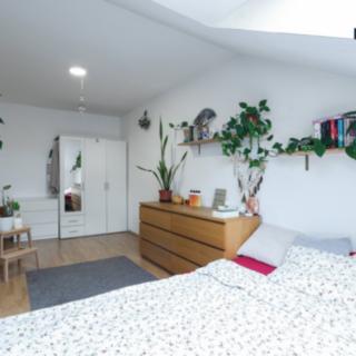 Pronájem bytu 5+kk 83 m² Brno Husovice, Dukelská třída