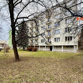 Prodej bytu 2+1 56 m² Brno