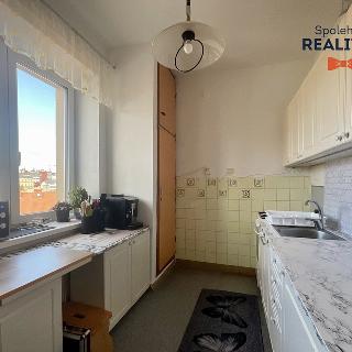 Pronájem bytu 2+1 64 m² Brno, Křídlovická