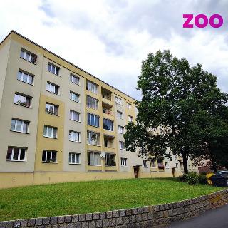 Pronájem bytu 2+1 55 m² Most, Zdeňka Fibicha