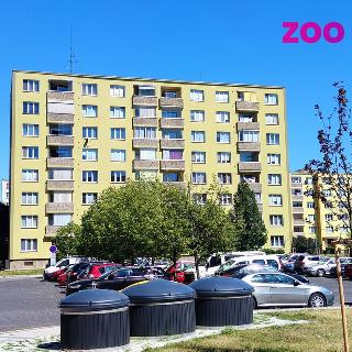 Pronájem bytu 1+1 36 m² Žatec, Jabloňová