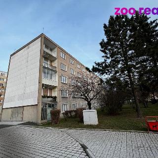 Pronájem bytu 2+1 55 m² Chomutov, Zdeňka Štěpánka