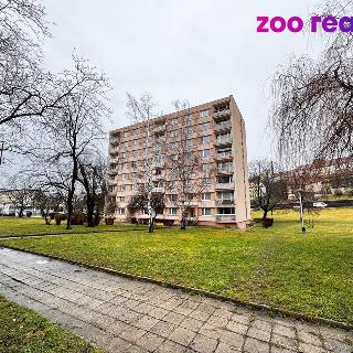 Pronájem bytu 1+1 36 m² Žatec, V Zahradách