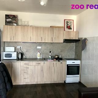 Pronájem bytu 2+kk 43 m² Tábor, Berlínská