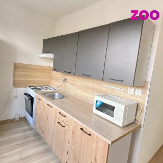 Pronájem bytu 2+1 53 m² Chomutov, Zahradní