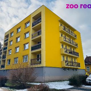 Pronájem bytu 2+1 55 m² České Budějovice, J. Plachty