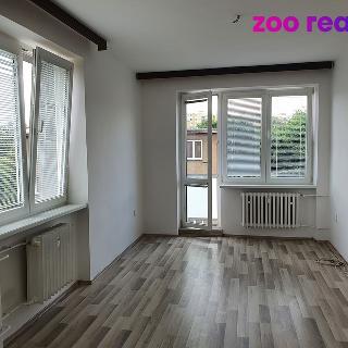 Pronájem bytu 2+1 53 m² Jirkov, Osvobození