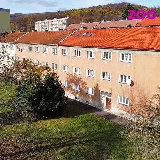 Pronájem bytu 3+1 77 m² Litvínov, Hamerská