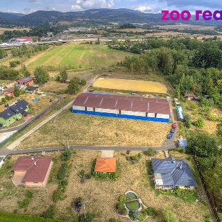 Prodej zemědělské usedlosti 16 581 m² Ostrov, 