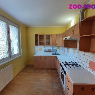 Prodej bytu 4+1 83 m² Chomutov, Borová