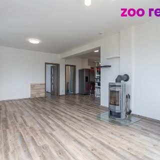 Prodej rodinného domu 180 m² Litoměřice, Špálova