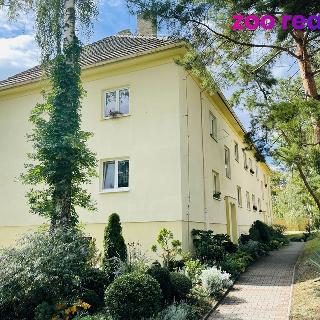 Prodej bytu 2+1 60 m² Litoměřice, Spojovací