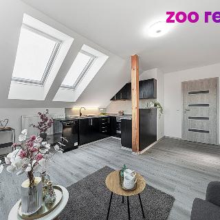 Prodej bytu 3+kk 55 m² Kolín, Na Návsi