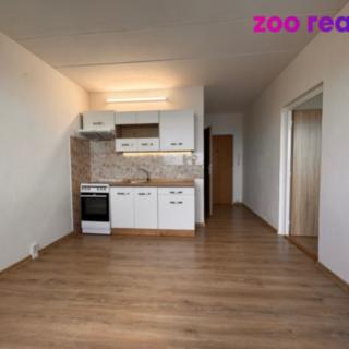 Pronájem bytu 1+1 38 m² Žatec, Družstevní
