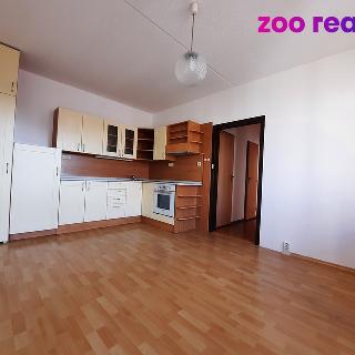 Prodej bytu 2+kk 41 m² České Budějovice, Netolická