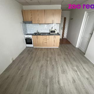 Prodej bytu 1+1 35 m² Chomutov, Kamenná