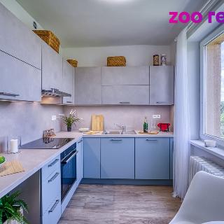 Prodej bytu 3+1 59 m² Chomutov, Spořická