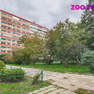 Pronájem bytu 2+kk 31 m² Praha, Horáčkova