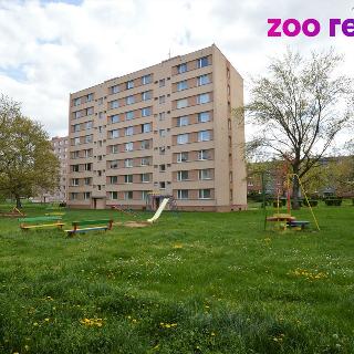 Pronájem bytu 1+1 36 m² Žatec, V Zahradách