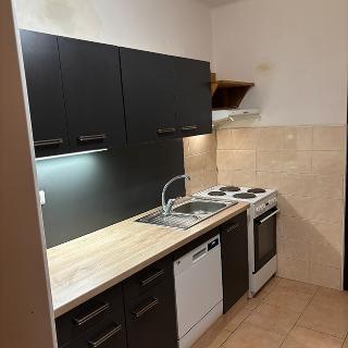 Pronájem bytu 3+1 73 m² Ločenice