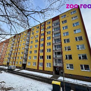 Prodej bytu 1+1 35 m² Jirkov, Pionýrů