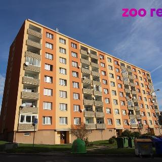 Pronájem bytu 1+1 35 m² Chomutov, Borová