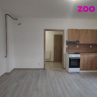 Pronájem bytu 3+kk 74 m² Žatec, Husova