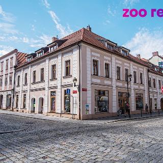 Pronájem obchodu 76 m² České Budějovice, Hroznová