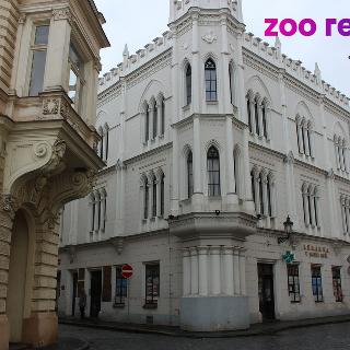 Pronájem kanceláře 25 m² Litoměřice, Velká Krajská