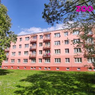 Pronájem bytu 2+1 53 m² Žatec, Hájkova