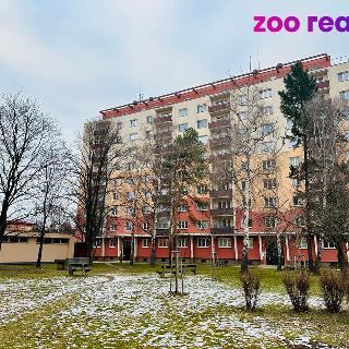 Pronájem bytu 2+kk 52 m² Přerov, Jasínkova