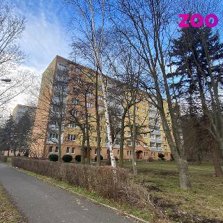 Pronájem bytu 2+1 51 m² Chomutov, Václavská