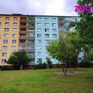 Pronájem bytu 1+1 38 m² Žatec, Družstevní