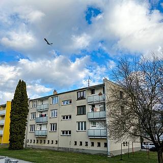 Prodej bytu 2+1 54 m&sup2; Trhové Sviny