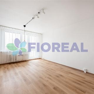 Pronájem bytu 3+1 72 m² Praha, Doležalova