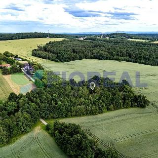 Prodej stavební parcely 6 449 m² Libníč