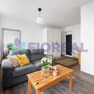 Prodej bytu 2+1 61 m² Praha, Klostermannova