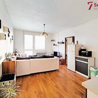 Prodej bytu 1+1 37 m² Ledeč nad Sázavou, Marie Majerové