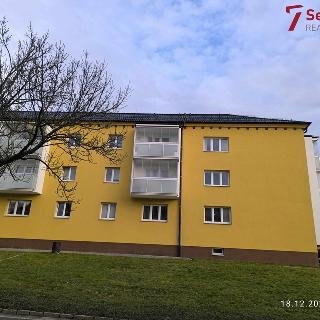 Pronájem bytu 2+1 70 m² Žďár nad Sázavou, Brodská