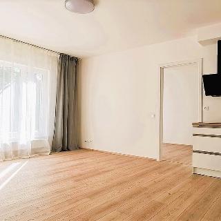 Pronájem bytu 2+kk 56 m² Praha, Pod areálem